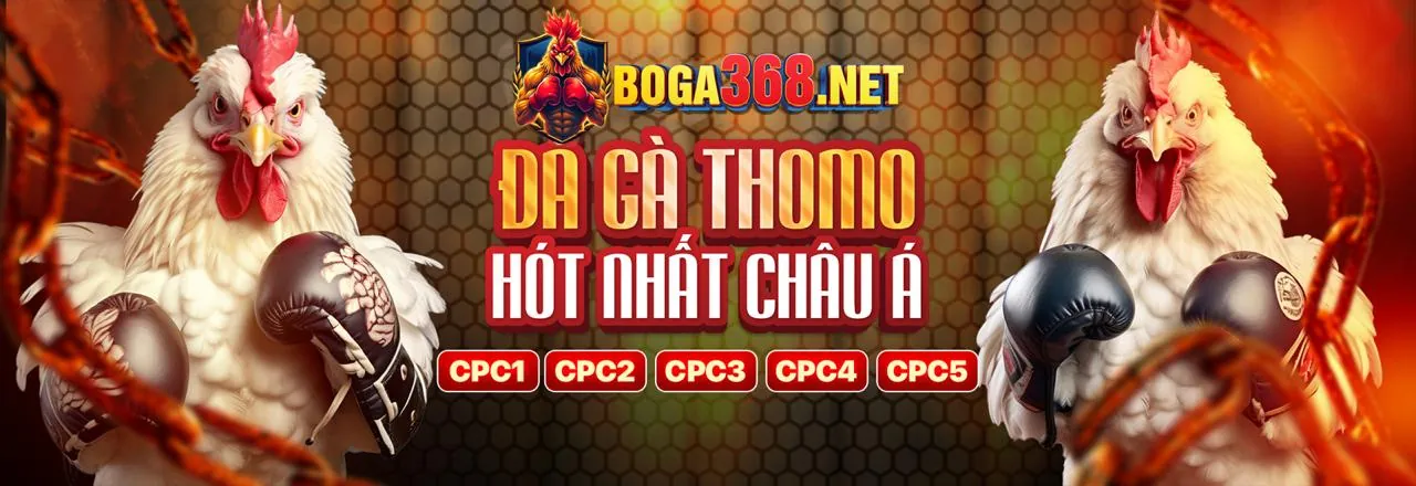 bong365 cam kết cá cược có trách nhiệm